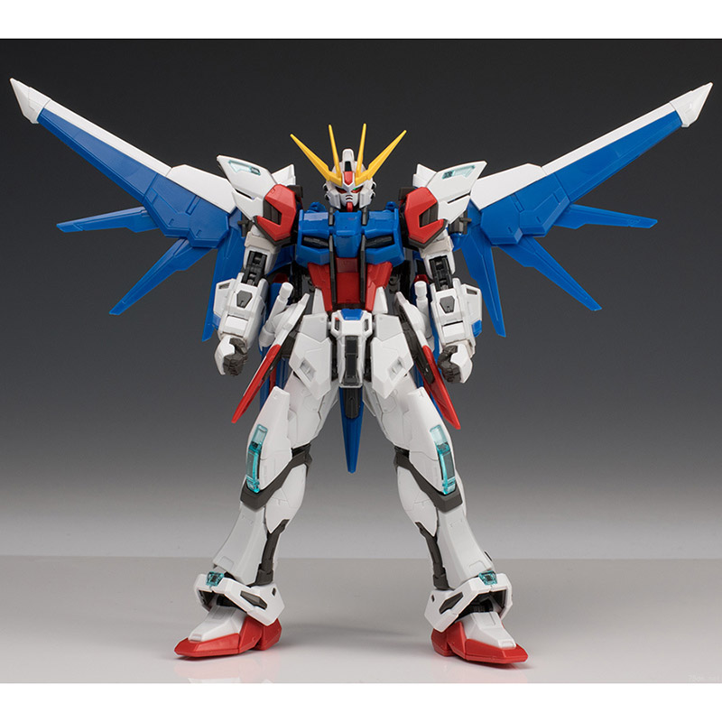 Коллекционная сборная модель R – обзор и цена Bandai Model Gundam Rg